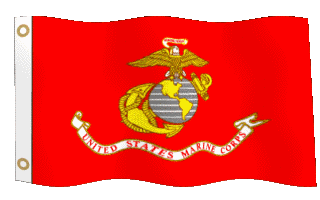 U. S. Navy Flag